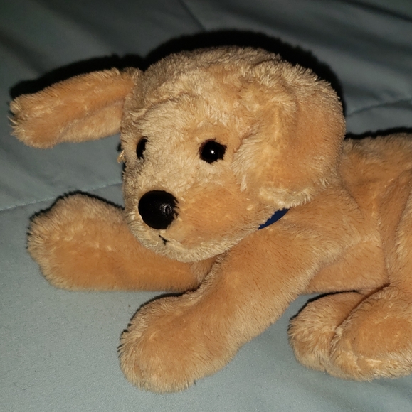 golden retriever beanie baby